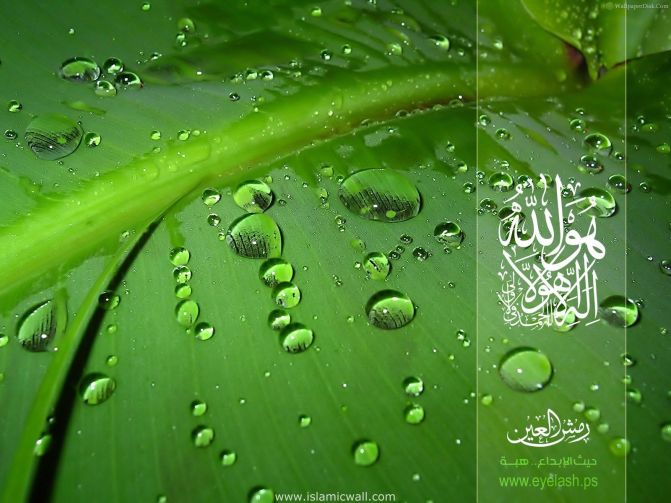 islamic leaf